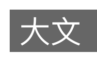 大文的意思