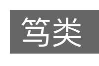笃类的意思