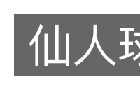 仙人球的意思