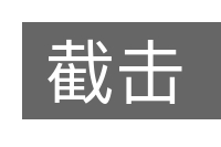 截击的意思