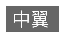 中翼的意思