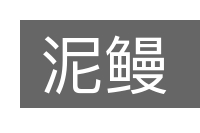 泥鳗的意思