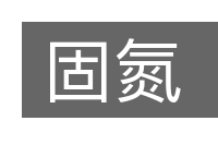固氮的意思