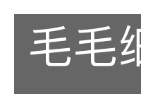 毛毛细雨的意思
