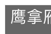 鹰拿雁捉的意思