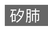 矽肺的意思