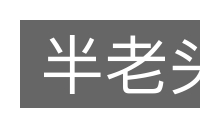 半老头的意思