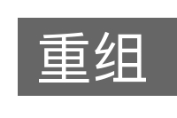 重组的意思