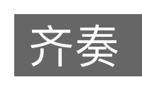 齐奏的意思