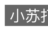 小苏打的意思