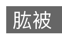 肱被的意思