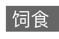 饲食的意思