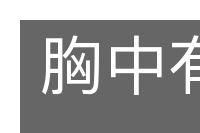 胸中有数的意思