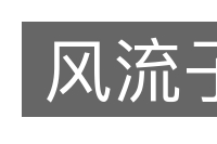 风流子的意思