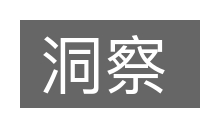 洞察的意思