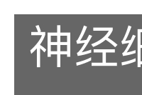 神经细胞的意思