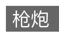枪炮的意思