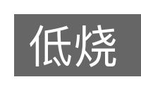 低烧的意思