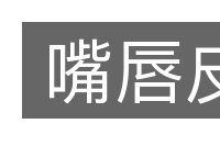嘴唇皮的意思