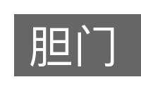 胆门的意思