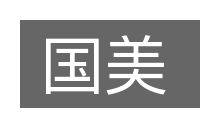 国美的意思
