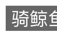 骑鲸鱼的意思