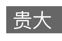 贵大的意思