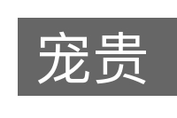 宠贵的意思