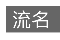 流名的意思