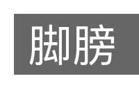 脚膀的意思