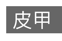 皮甲的意思