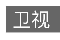 卫视的意思