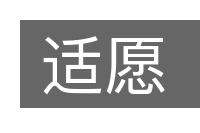 适愿的意思