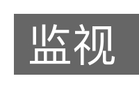 监视的意思