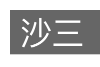 沙三的意思