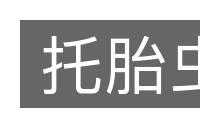 托胎虫的意思