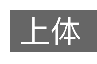 上体的意思