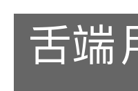 舌端月旦的意思