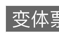 变体票的意思