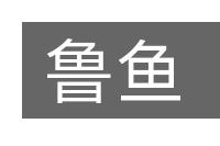 鲁鱼的意思