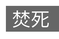 焚死的意思