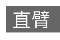 直臂的意思