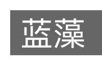 蓝藻的意思