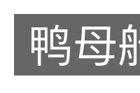 鸭母船的意思