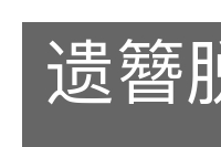 遗簪脱舄的意思