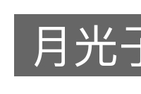 月光子的意思