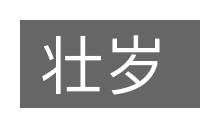 壮岁的意思
