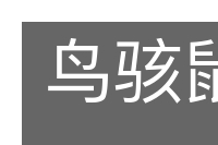 鸟骇鼠窜的意思
