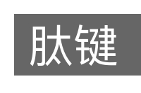 肽键的意思