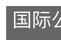 国际公制的意思